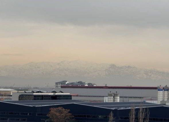 Продаётся 2ком ЖК BI Sado Business 42м2 ор-р: Корзинка, Авиатор