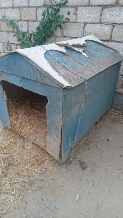 Домик для собакк