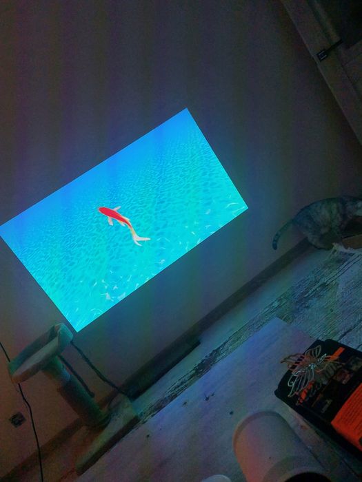 Проектор Freestyle samsung