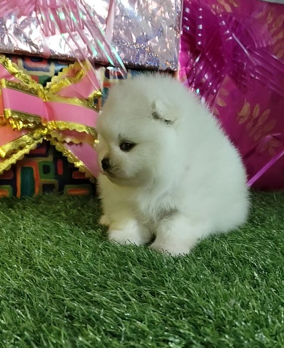 Сссупппер девочка