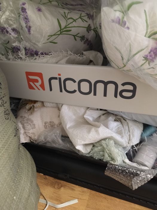 Mașină de brodat profesionala RICOMA
