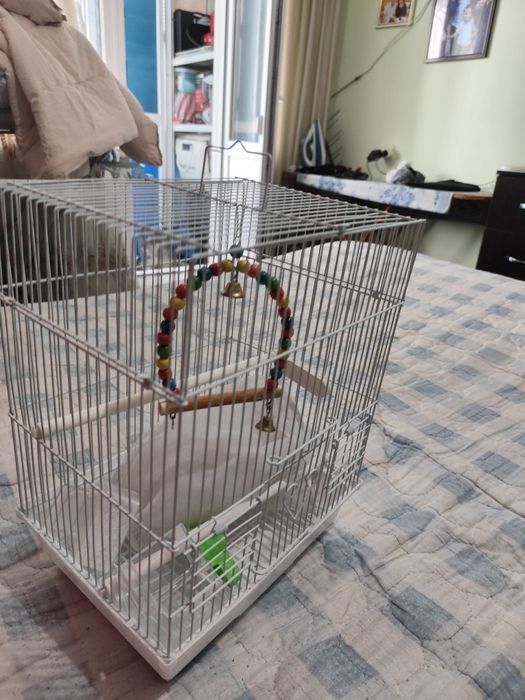 Продаю клетку для попугаев