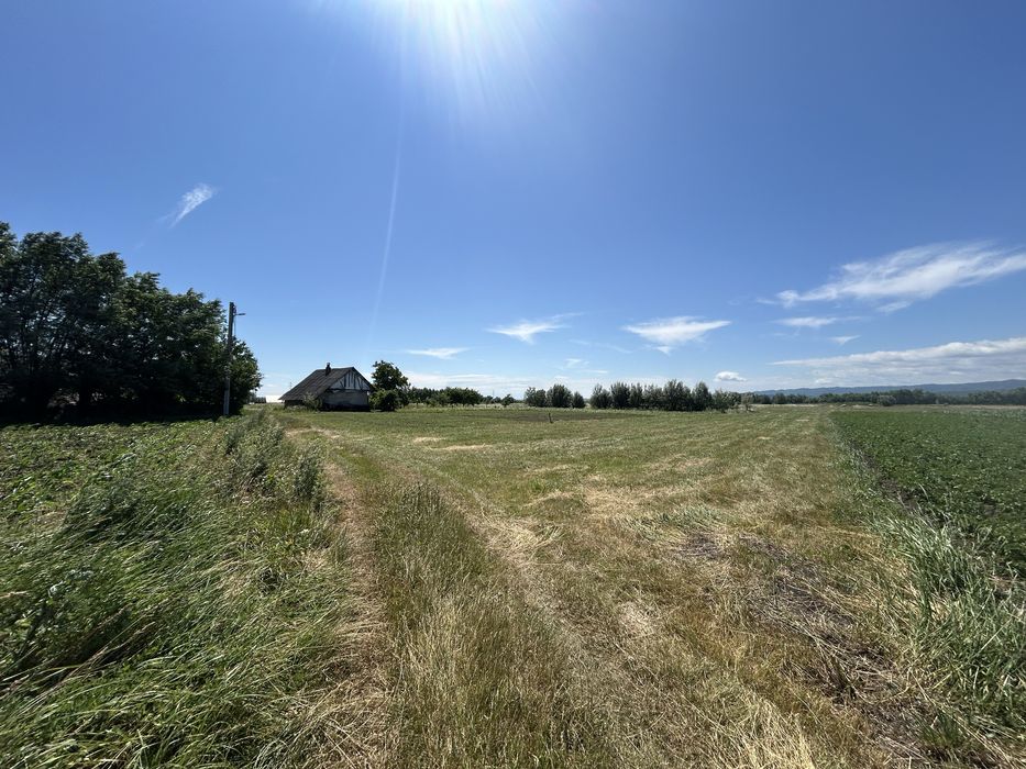 Vand teren intravilan Fantana Mare 4.500 mp