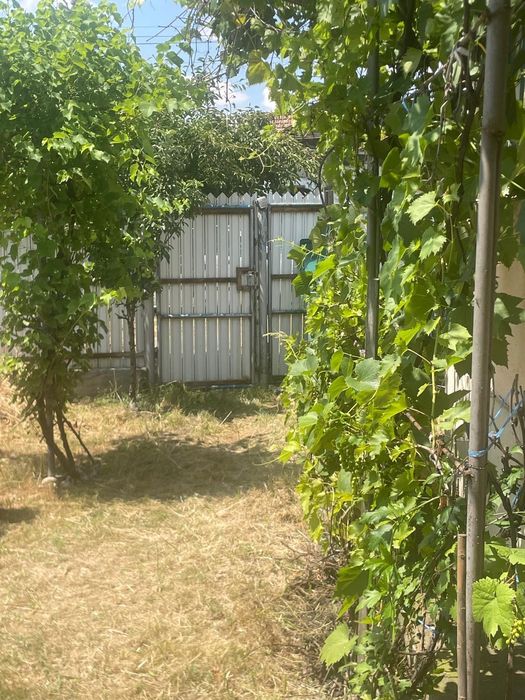 Casă 2 camere Negreni Olt 11000 eur