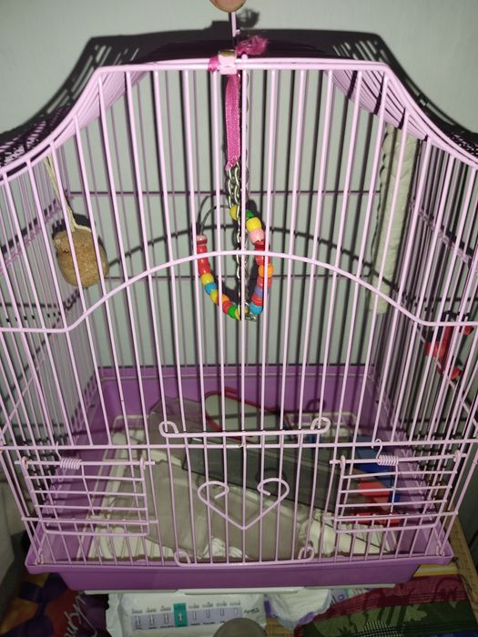Клетка для попугаев