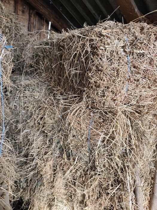 Baloți Lucerna dreptunghiulari