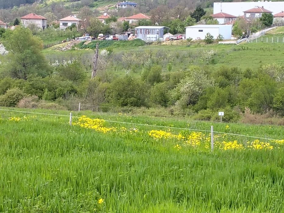 Продава се Земеделски имот в Дебелец -  кв.м за 7 €/дка - Снимка #1