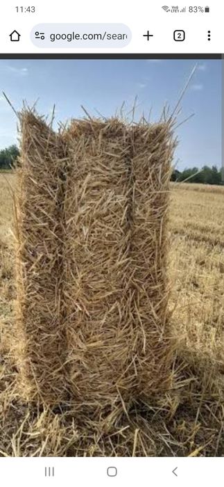 Baloti de paie patrati