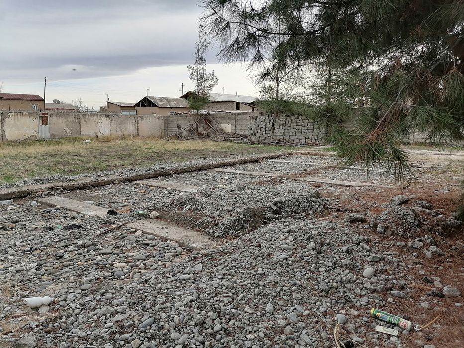 Дала ер Племсавхозда