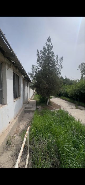 Qashqadaryo Beshkent yer 50 so'tix