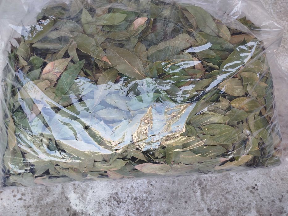 Дафинов лист сушен