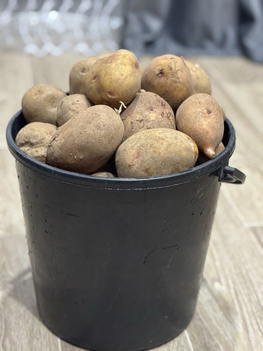 Продам картошку!!!