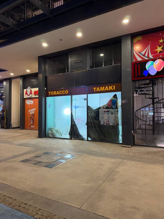 Сеул Мун евро нежилое помещение 23кв.м первая линия с арендатором