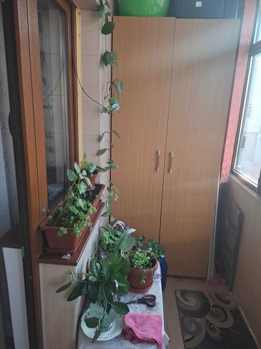 APARTAMENT 2 CAMERE DE VÂNZARE – 49 MP  – ETAJ 3  Se vinde apartament cu 2 camere, decomandat, confort 1, cu suprafața de 49 mp, situat la etajul 3.