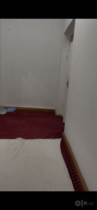 Kvartira student uğil bolalarga