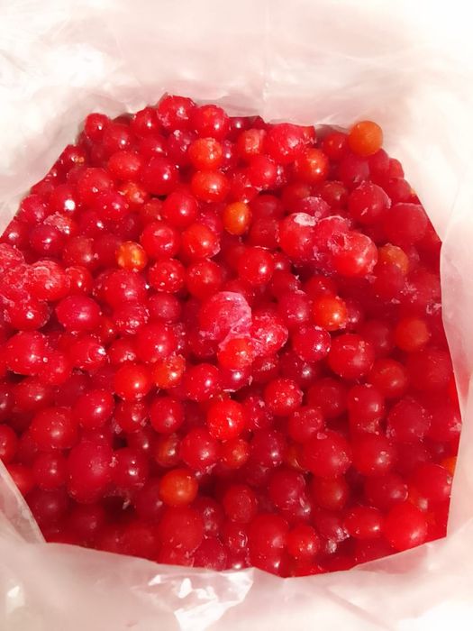 Калина чистая ягода