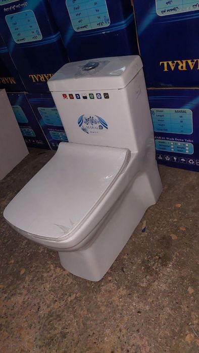 Унитаз с двойным сливом