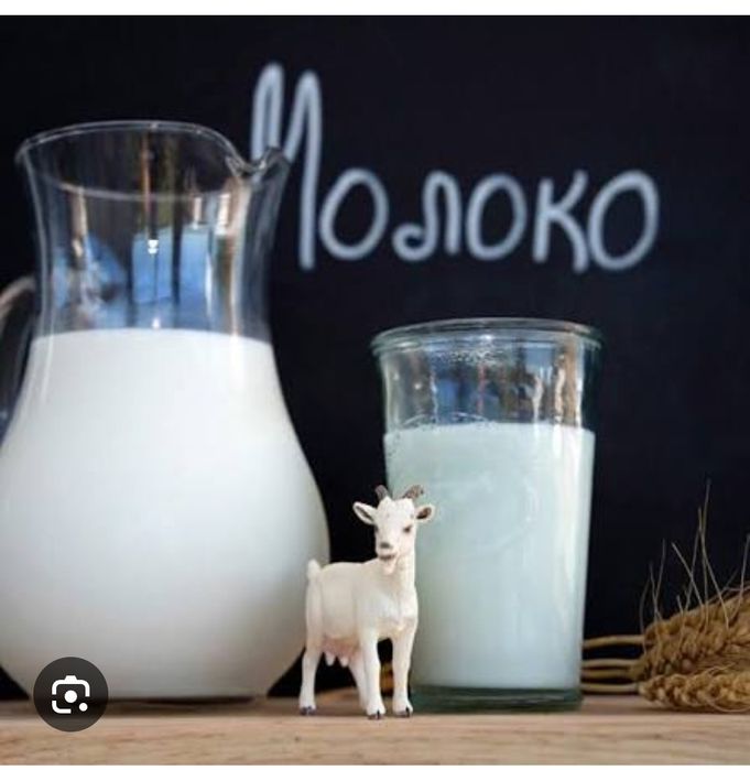 Продается козье молоко. Вкусное, без запаха