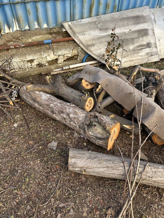 Дрова   готовые бесплатно самовывоз