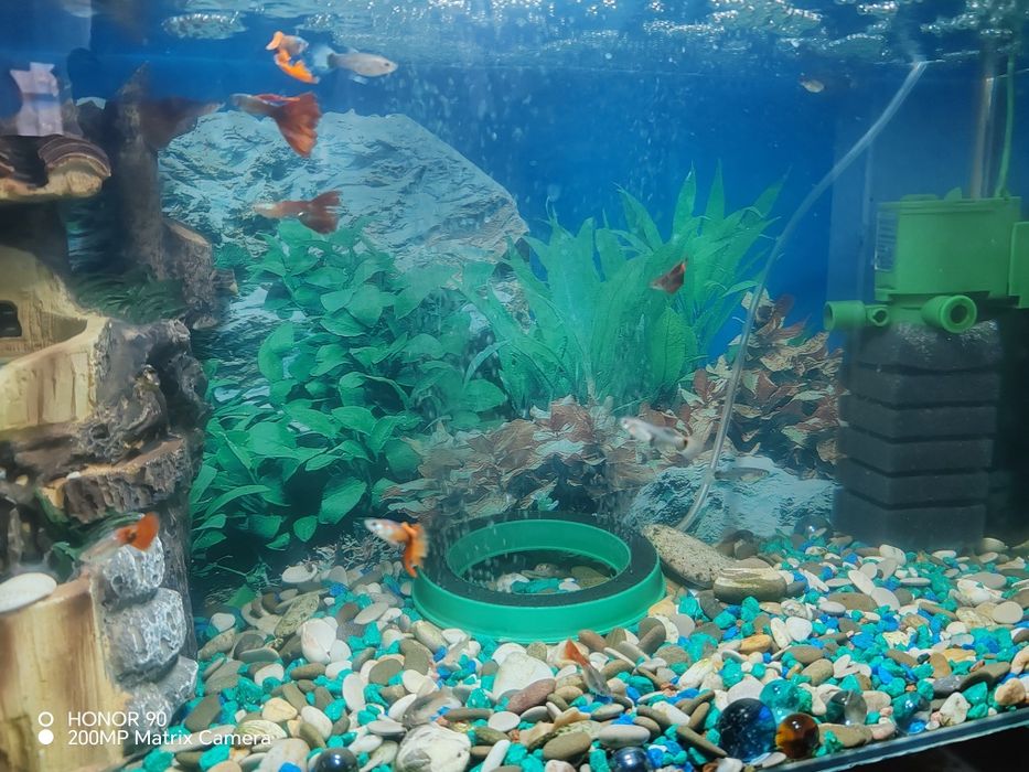 Продам аквариумы  45 литров