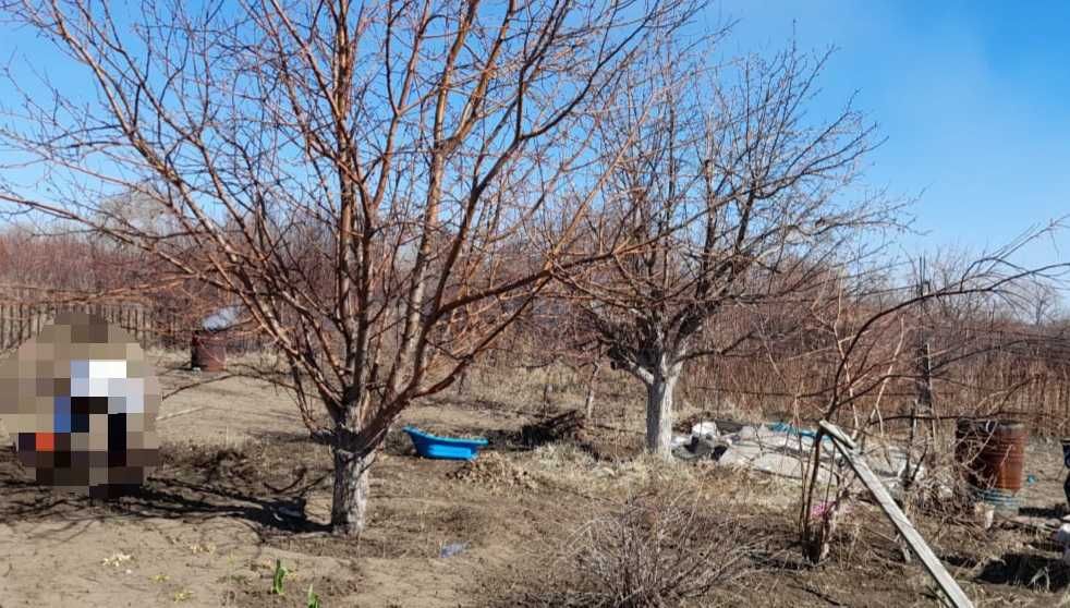 дача Сад Металлург 6 сот