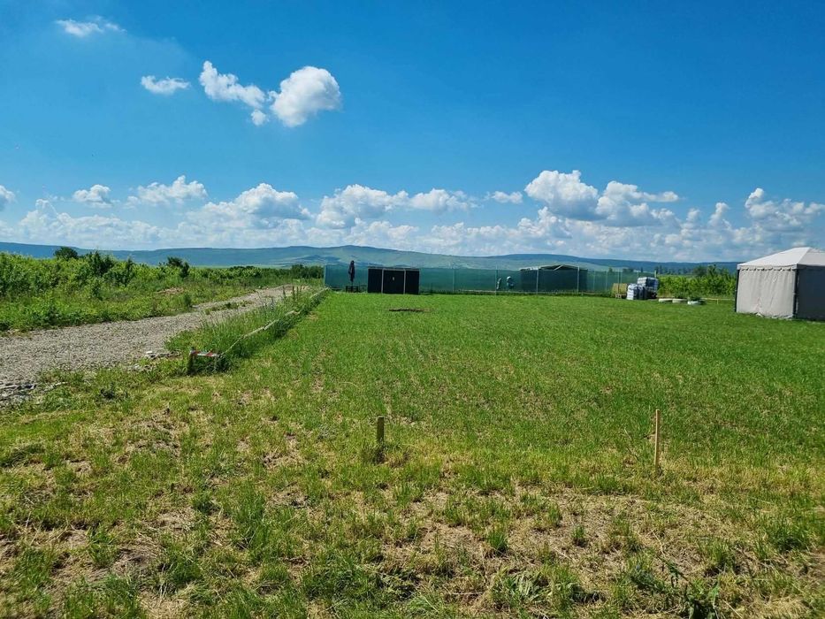 Teren extravilan Miroslava 722 mp - zona fermei Liliac - oportunitate de investitie - 9.900 euro parcela neg