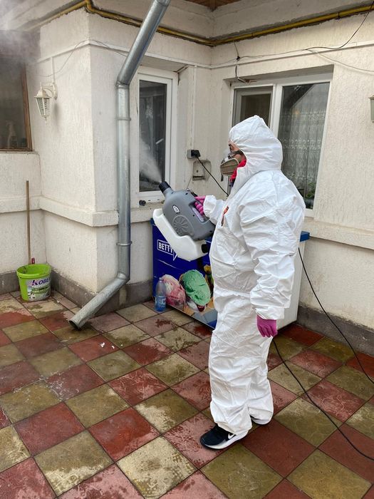 Dezinsecție ploșnițe garanție 100%