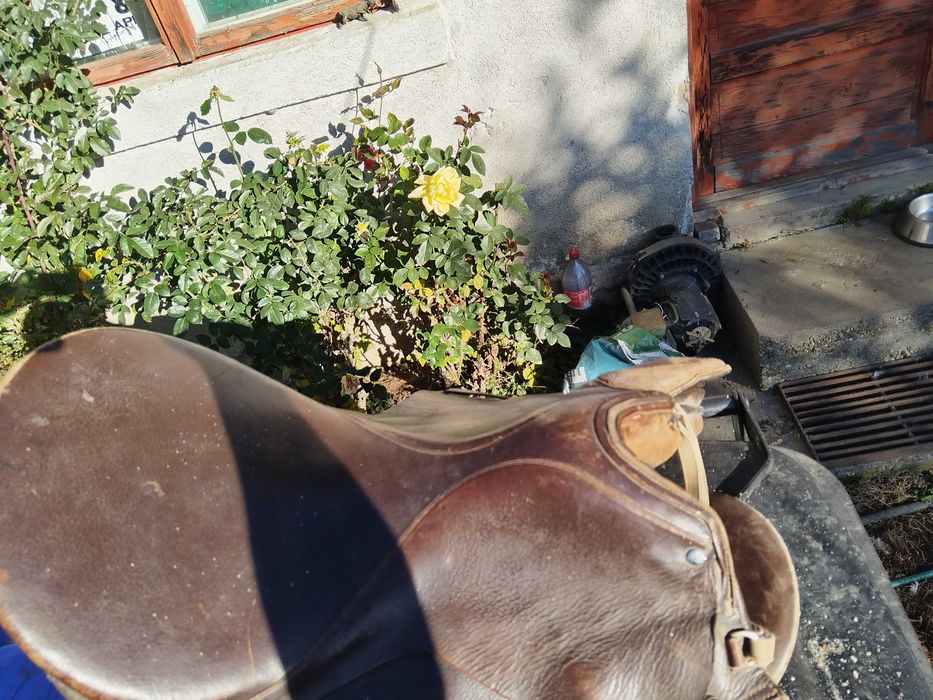 Sa de piele originala călărie echitație