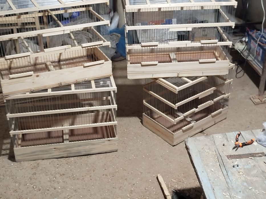 Клетка. 200 000 сум