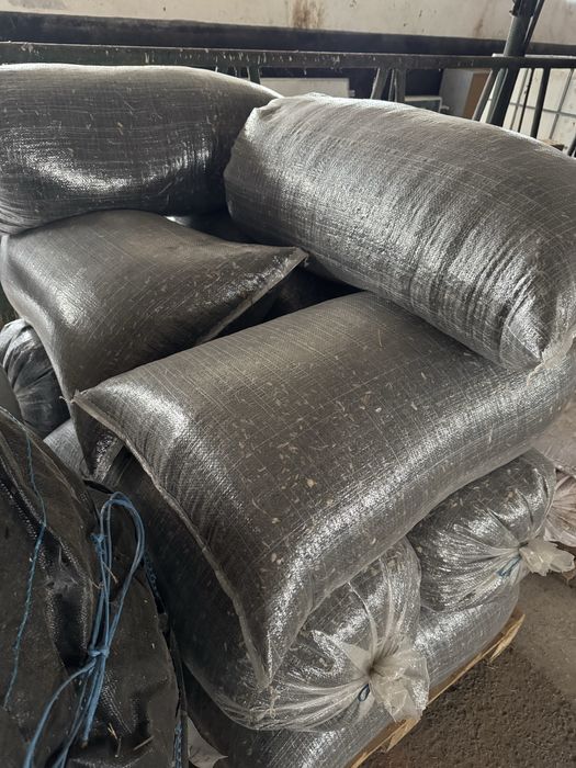 Vand floarea soarelui recolta 2025