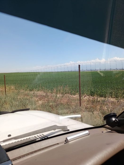 Земельный участок