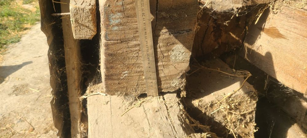 Болол Брусель расиски 6 метр