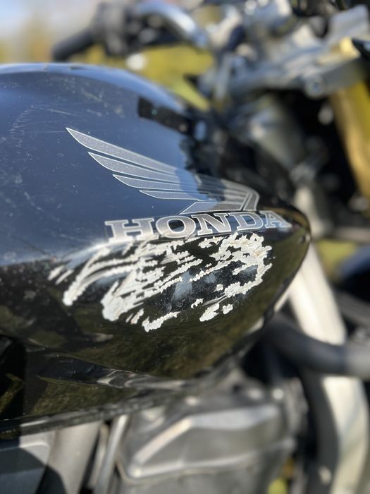 Honda hornet pc 41