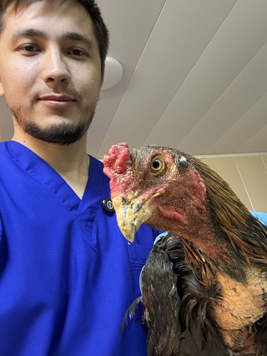 Ветеринарная служба по городу Ташкент.