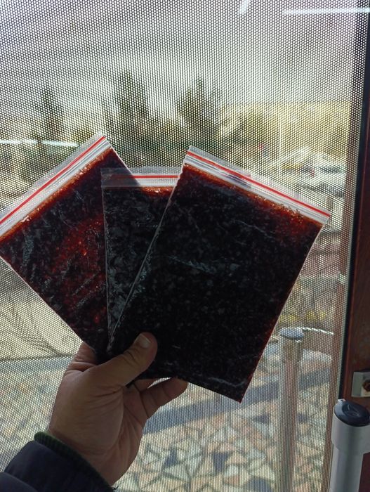 Живой корм мотил