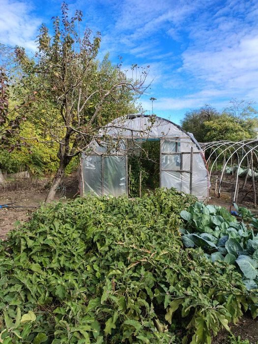 Casa si teren intravilan 3700mp in comuna Singureni, Giurgiu
