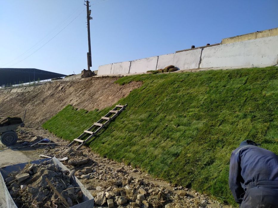 Ландшафтная компания ENTER GREEN LIFE