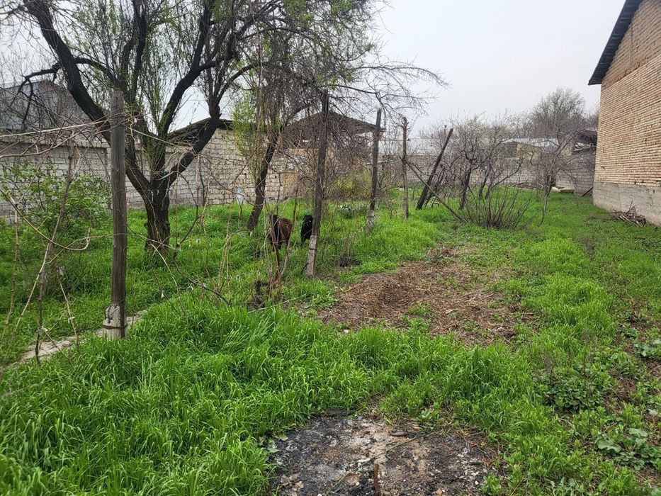 Продается земельный участок, Дурмень, Хайдрабад  8,3-соток