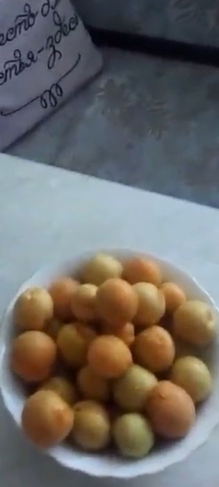 Продам саженцы абрикоса