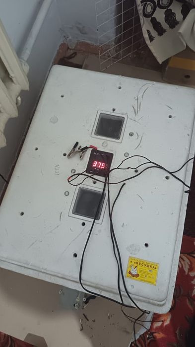 Продам инкубатор хорошо выводит