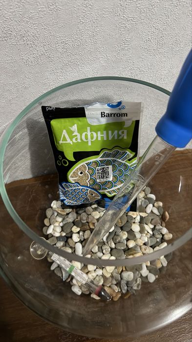 Продам круглый аквариум