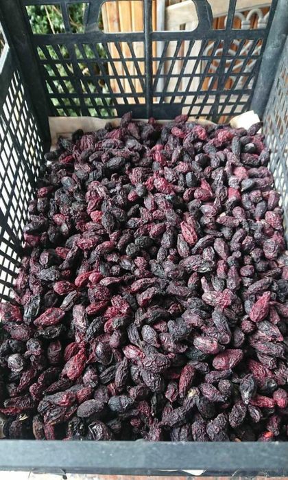 Ягоды-Фрукты Сушёные и Свежие