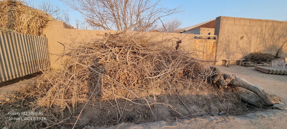 O'tn hoda va yana boshqa lar