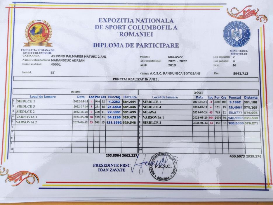 Porumbei cu rezultate deosebite , fond și maraton ( expoziție)