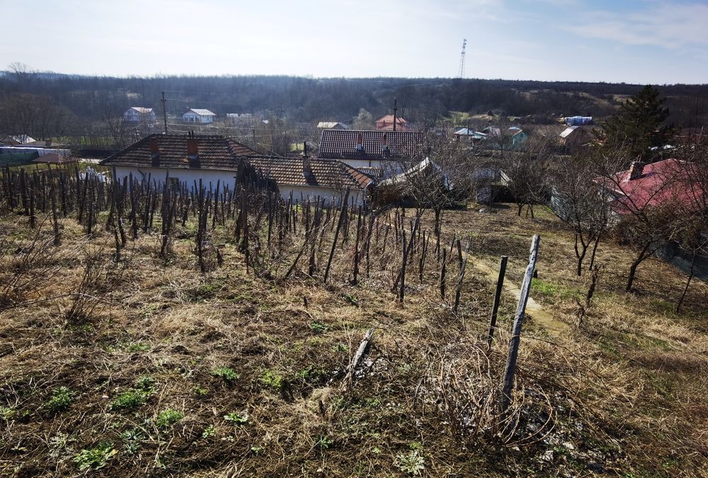 Casă cu 1511 mp teren intravilan | Leamna de Sus