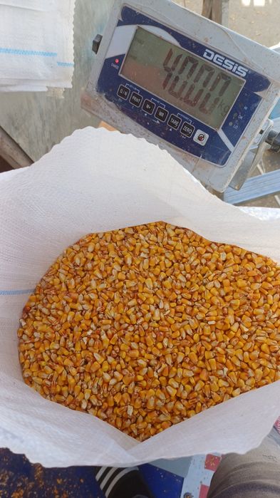 vand porumb.grau ,tarață,malai furajer,mazare,orz,floarea