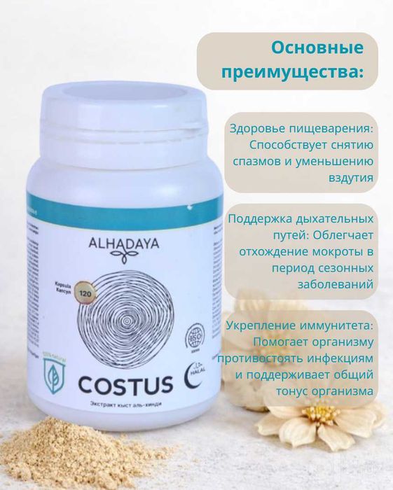 Костус Costus ALHADAYA, в капсулах, для здоровья ЖКТ, 120 штук