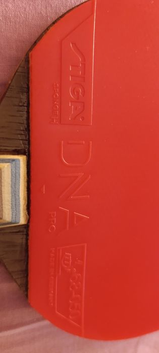 Гума за тенис на маса Stiga DNA Pro Hard made in Germany
