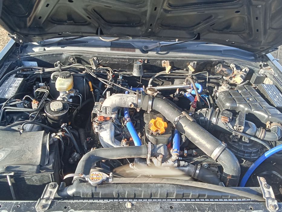 Возможен обмен на скот