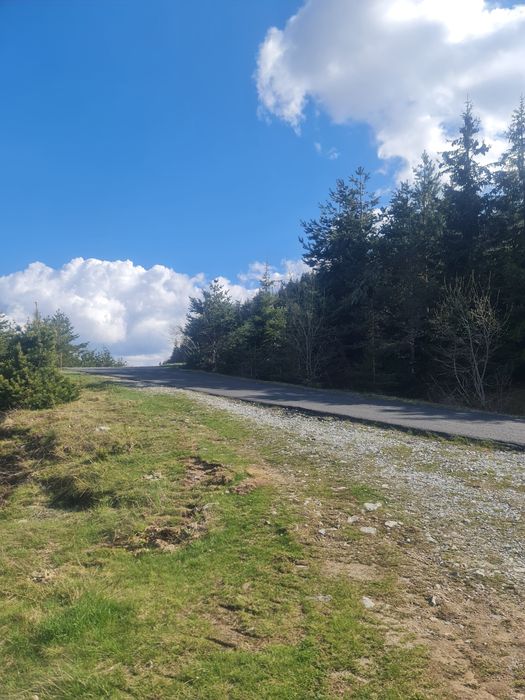 Продава се Земеделски имот в с. Давидково, Област Смолян -  кв.м за 15000 €/дка - Снимка #7